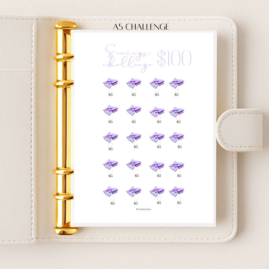 Save $100 - A5 Challenge