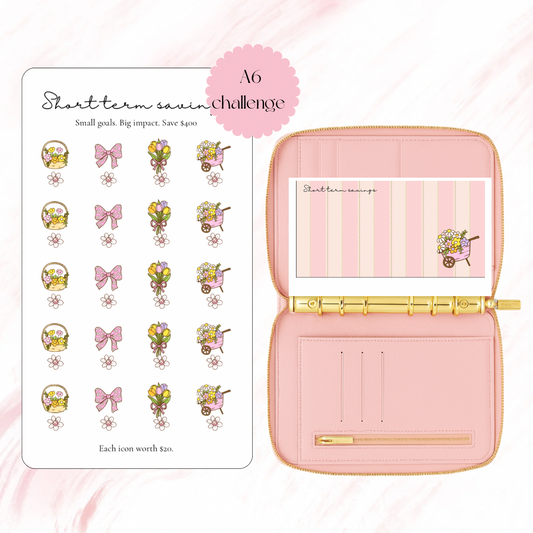 Short Term Savings Challenge