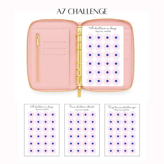 A7 Challenge Set | Babe Essentials