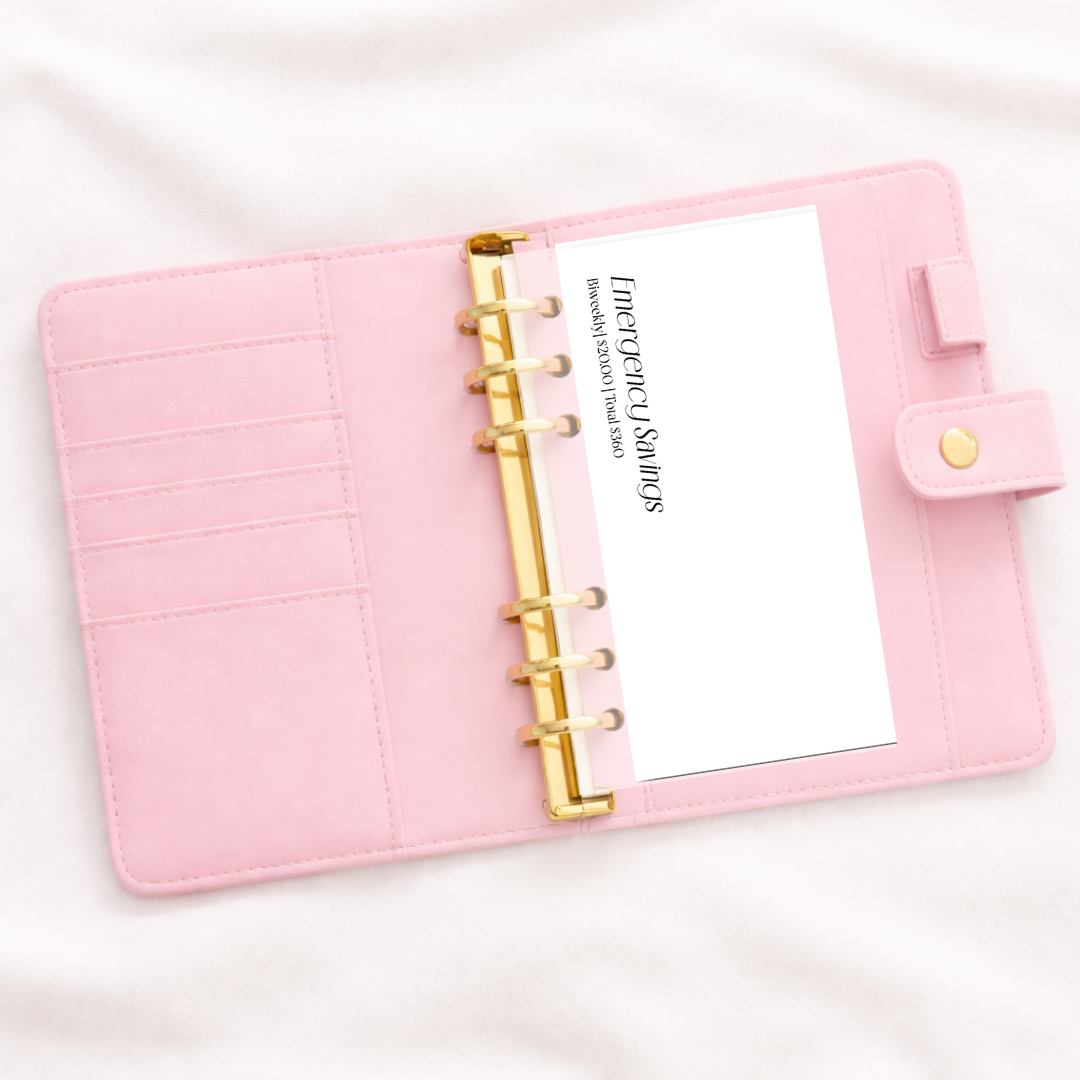 Simplicity Cash Envelope