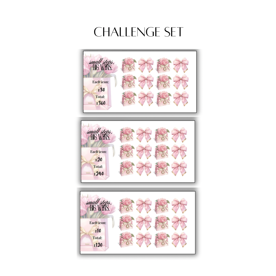Mini Money Moments Set - pink