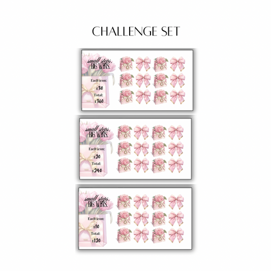 Mini Money Moments Set - pink