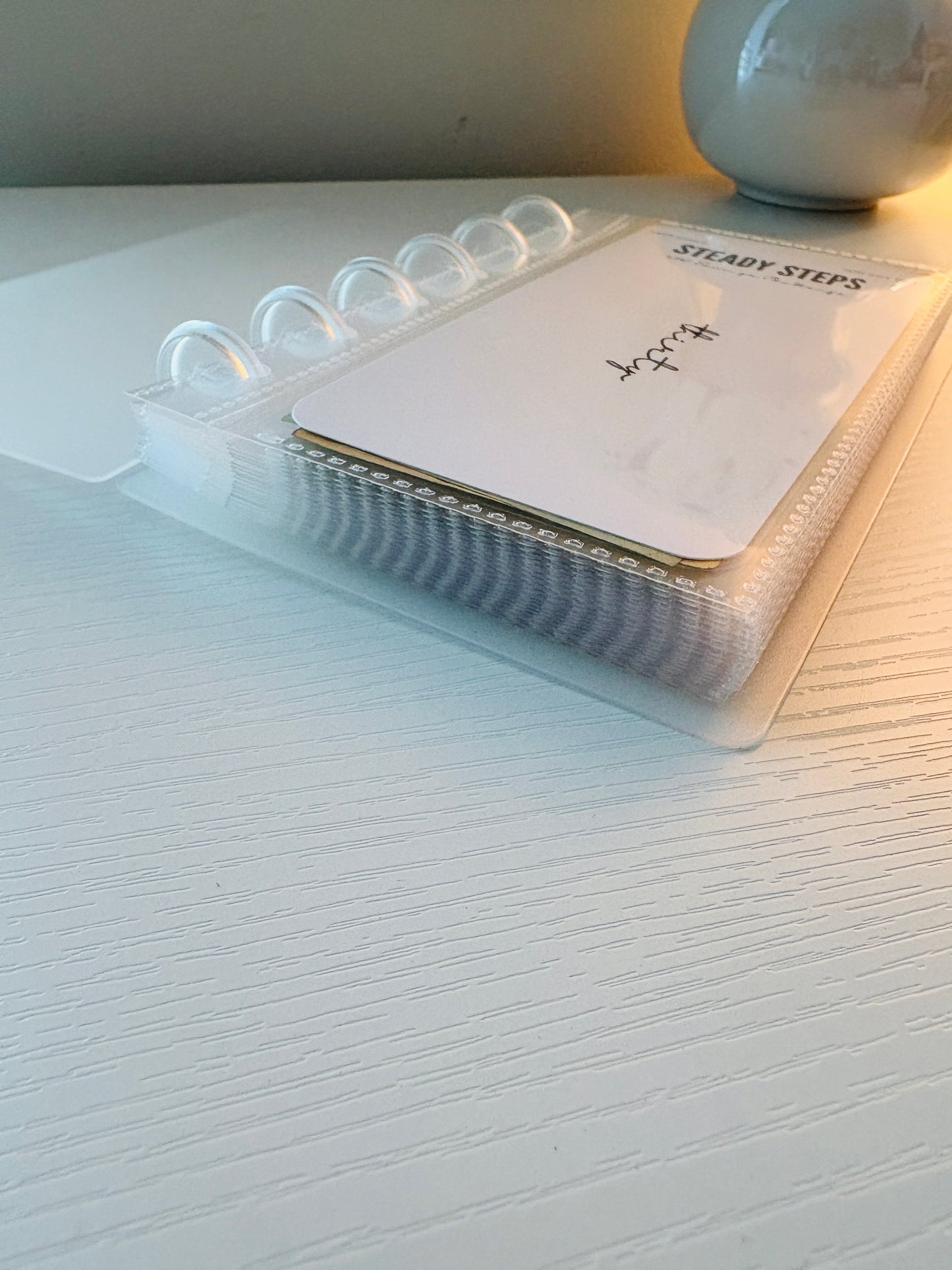 Steady Steps $350 Challenge Book